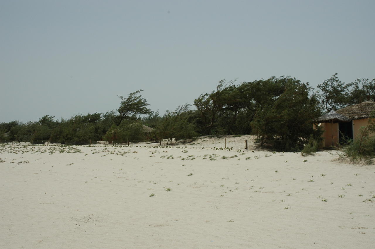 Diamarek Hotel Sur La Plage Saint-Louis Exteriör bild